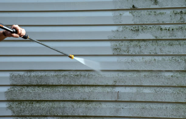 Best Roof Pressure Washing  in Amherst, OH